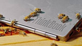 Hustle Like a Hive with Bee Downtown and Lenovo ThinkBook