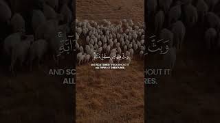 Heart touching talawat by sheikh mansoor al salami