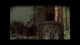 Dragon Age Origins - Meeting Morrigan (spanish subt)