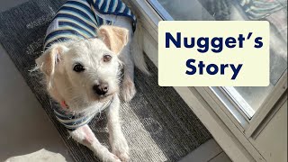 Nugget's Story