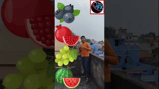 BlackBerry🫐,Bedana🍓,Grapes🍇,Watermelon🍈|Type of fruit VFX video create#short#viral#typeoffruit#omvfx