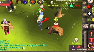 Ags Pure & Rune Pure! High Risk & Bh Pking! Lil Skitterz Pk Video #20