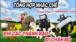 NHẠC CHẾ ĐI CHĂN BÒ TỔNG HỢP (KHI CÁC THÁNH BÁO ĐI CHĂN BÒ)