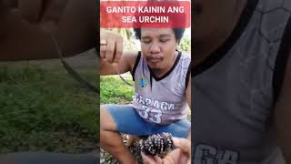 ing-ani ang pagkaon ug tuyom #seaurchins #tuyom #shortvideo