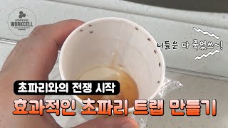 초파리와의 전쟁 시작 : 효과적인 초파리 트랩 만들기