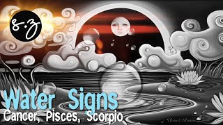 Water Signs  💧 Cancer | Pisces | Scorpio | Tarot reading