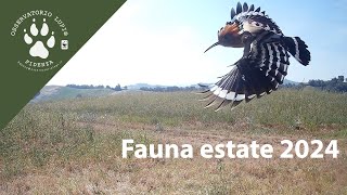 Fauna Estate 2024