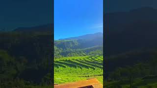 Lembah Terindah Wonderful Indonesia Slowmo Cinematic Valley