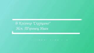 В.  Косенко "Скерцино", Исп. Туровец Иван