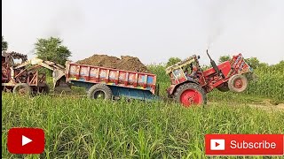 Belarus510 tractor with having loader truly is pulling tractor is very stunt double power best prfmc