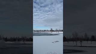 Freezing cold morning at park #frozen #frosty #lake #snow #idaho #2023 ##idahodaily