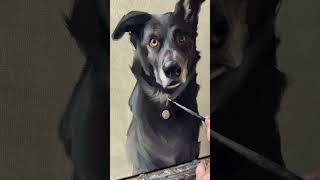 Pet portrait oil painting by Marcelo Rochá #petportrait #art #petportraitartist