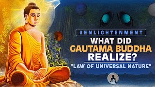 Enlightenment: What Did Gautama Buddha Realize? Law of Universal Nature