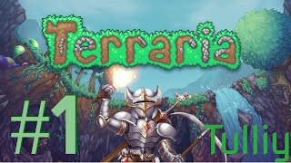 Terraria / Прохождение с Minirubka #1