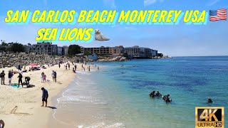 San Carlos Beach 🏖️ Monetary USA 🇺🇸 | ਪਹਿਲੇ ਬਾਰ ਦੇਖਿਆ Sea Lions 🦭 ਨੂੰ @californiacouple