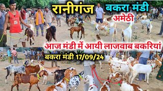 आज रानीगंज बकरा मंडी में आयी लाजवाब बकरियां |Raniganj Bakra Mandi 17/05/24 Live Update & Price