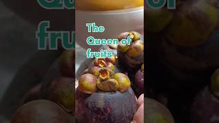 mangosteen #youtubeshorts #fruit #mangosteen