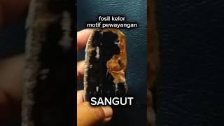 Fosil kelor wayang sangut #fosilkelor #bali #gemstone #shortvideo #wayangkulit #top