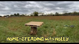 Homesteading With Holly: Vlog #3 We are On The Land ! Glory to GOD!