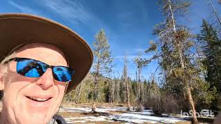 Hiking in the Uintas, North Fork trail.