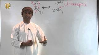 Nucleophilic Addition Reactions I