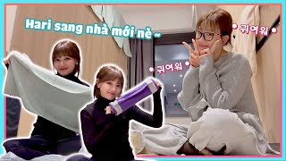 (한) Vlog Hàn Quốc #2 | Hari thuê nhà mới, sắm nội thất unbox mỏi tay luôn !! 새 집에서 언박싱! 손이 몹시 아프다!