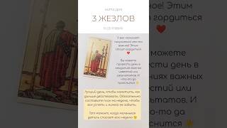 ☕ КАРТА ДНЯ 9 СЕНТЯБРЯ #таро #картытаро #tarot #тароонлайн #tarotube