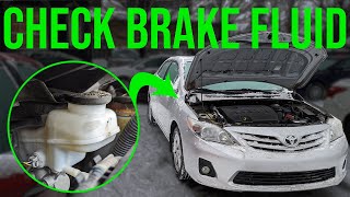 How to Check Brake Fluid Level - Toyota Corolla (2009-2013)