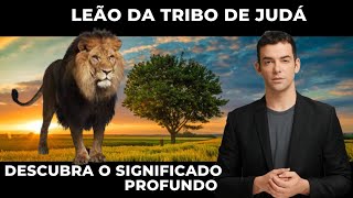 O Significado do "Leão da Tribo de Judá" na Bíblia - Voz da Palavra de Deus