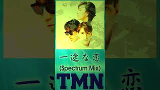 一途な恋 (Spectrum Mix)  続きはフルVer.で #TMN #TMNETWORK #小室哲哉 #宇都宮隆 #木根尚登 #FANKS #tmremix #zedd