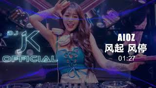 Aioz - 风起 风停 新版幻境 DjJK Remix⚡ 热门DJ音乐 | DJ舞曲 | 慢摇