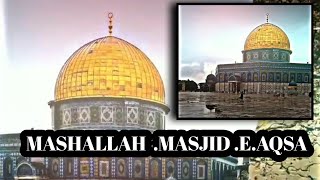 Brave Palesten Muslim Masjid-e-aqsa || Palestine || Baitul Muqaddas || PowerfullWhatsApp Statu