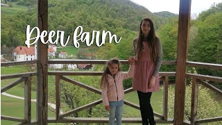 Deer farm | Exploring Slovenia