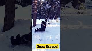 Snow Escape