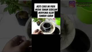 Ikuti cara ini pada media tanam agar tanaman tumbuh subur #pupukorganikterbaik #pupukterbaik