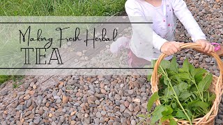 Our Early Summer Tea Making (How to use Garden Fresh Herbs for Tea)