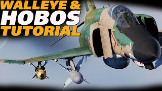 DCS F-4E Phantom TV Guided Bombs Tutorial | Walleye & HOBOS!