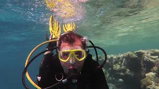 Scuba Diving Red Sea Safari Egypt 2016 || Safari Nurkowe Egipt 2016