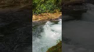 Thatch Hill River & Park. #travelvlogs #riverlife #thingstodoinjamaica