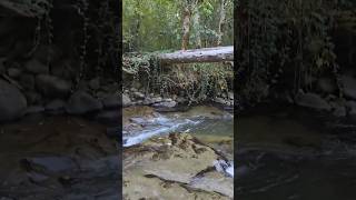 Black Rock Walks #oregon #hiking #travel #adventure #scenery #nature #river #forest #asmr