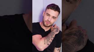 Liam Payne - TV crew spark outrage filming