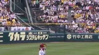 Baseball in San Francisco and Osaka