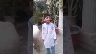 Bakra Eid Shorts | YouTube Shorts