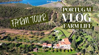 Off Grid Homestead Life - Portugal - We fixed our tractor for €0.30 cents - TOUR of land clearing