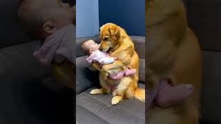 Doggo helps baby to sleep