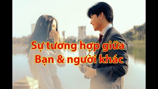 SỰ TƯƠNG HỢP GIỮA BẠN VÀ NGƯỜI KHÁC