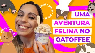 Gatoffee: Uma Aventura Felina em Florianópolis