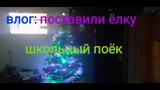 ВЛОГ:поек от школы //поставили елку