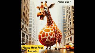 OMG😱 please someone help This poor pragnent Giraffe #animals #animalrescue #giraffe #help #shorts