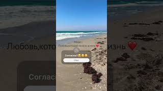 Море…Крым❤️🇷🇺 #shortsvideo #крым2024 #мореотдых #море#пляж